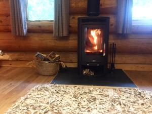 Fotografie z fotogalerie ubytování Ewes Water Log Cabins v destinaci Langholm