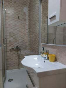 a bathroom with a white sink and a shower at Guest house Vlahovic in Kolašin
