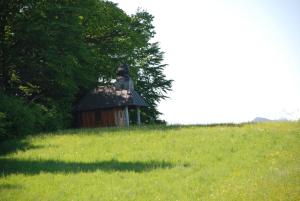 mały budynek na szczycie trawiastego wzgórza w obiekcie Landhaus Brieger w mieście Henndorf am Wallersee