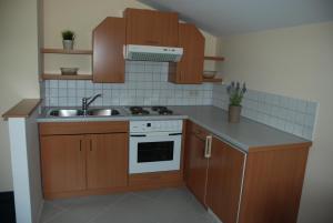 kuchnia z drewnianymi szafkami i zlewem w obiekcie Landhaus Brieger w mieście Henndorf am Wallersee