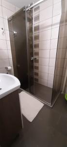 a glass shower in a bathroom with a sink at Apartman Popovic in Kragujevac