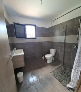 La salle de bains est pourvue de toilettes, d'un lavabo et d'une douche. dans l'établissement Villa Cosy avec piscine privative, à Ghisonaccia