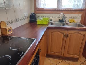 a kitchen with wooden cabinets and a sink at Casa Pirineu in Esterri de Cardós