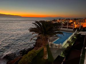 a view of a swimming pool with a palm tree at Costa Isora in Puerto de Santiago