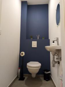 ein blaues Badezimmer mit WC und Waschbecken in der Unterkunft La Roche en Ardenne , welcome in La-Roche-en-Ardenne