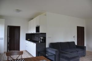 Kuchyň nebo kuchyňský kout v ubytování Apartmán198,cz