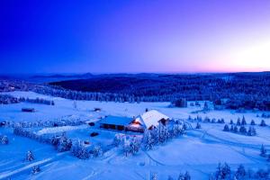 Cínovec克瑞斯纳霍斯基迪威酒店的雪中房屋的空中景观