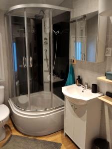 a bathroom with a shower and a toilet and a sink at domki przy lipowej 16 in Łuka +19 photos