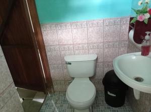 a bathroom with a toilet and a sink at Loren's house in Moyogalpa