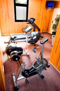 
The fitness centre and/or fitness facilities at Campanile Blanc-Mesnil
