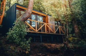 a cabin in the woods with a large window at Refugios Outscape Fuy, Huilo Huilo in Puerto Fuy