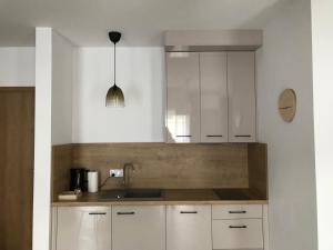 Kuchyňa alebo kuchynka v ubytovaní Apartamenty Julia APARTAMENTY OZONOWANE