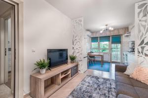 een woonkamer met een tv en een bank bij DreamGarden Airport apartment & Secure parking & Airport shuttle in Iaşi