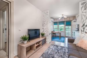 a living room with a tv and a couch at DreamGarden Airport apartment & Secure parking & Airport shuttle in Iaşi