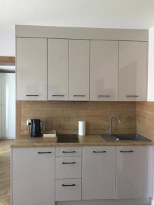 Kuchyňa alebo kuchynka v ubytovaní Apartamenty Julia APARTAMENTY OZONOWANE
