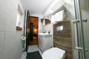 un bagno con un water e un lavandino di PENSIUNEA STEFANIA a Câmpulung Moldovenesc Altre 85 foto