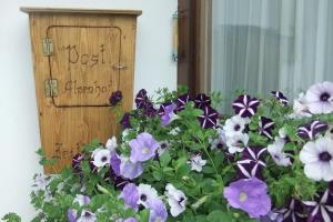 a bunch of purple and white flowers in front of a door at Pension Alpenhof in Bad Aussee