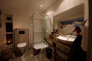 a bathroom with a sink and a shower and a toilet at Kjosen Lodge, Lyngen. in Lyngseidet