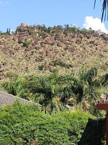 a rocky hill with palm trees on it at Chacara 70 km de SP - A tranquilidade do campo com conforto da cidade in Itupeva