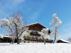due alberi nella neve davanti a un edificio di Bio-Bauernhof Einberghof a Pfarrwerfen