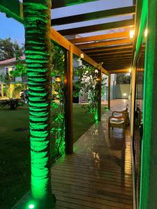 a palm tree on a porch with green lights at Posada Sueños De Verano in Florianópolis