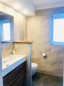 baño con lavabo y aseo y ventana en Strand Villa Stern Noordwijk, en Noordwijk
