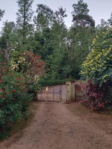a gate in a garden with flowers and trees at Hill side estate in Madikeri