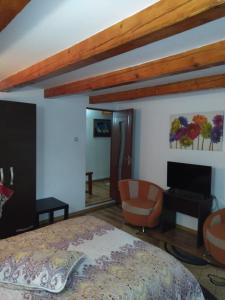 ein Schlafzimmer mit einem Bett und Stühlen sowie einem Kamin in der Unterkunft Cabana Ollie Retezat in Rîu Bărbat