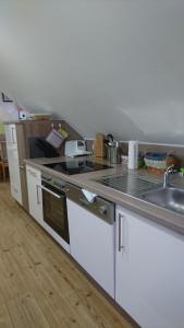 a kitchen with a stove and a sink and a counter at Ferienwohnung Spatzennest in Fladungen