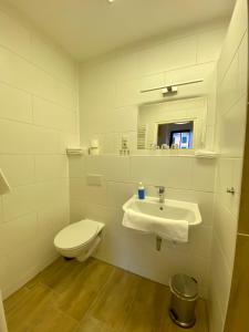 a white bathroom with a toilet and a sink at Kornkäfer Kleinmockritz in Döbeln