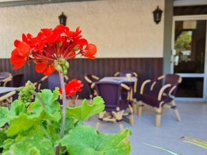 Fotografie z fotogalerie ubytování Beth-Shalom v destinaci Haifa