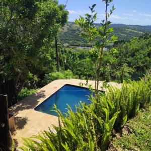 a swimming pool in a garden with a view of the jungle at African Sunset Villa in Chintsa