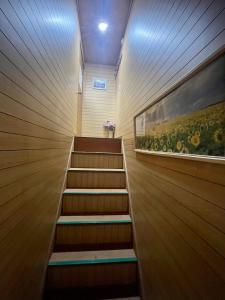 Fotografie z fotogalerie ubytování Sakurahome&El Flamenquito v destinaci Muroto