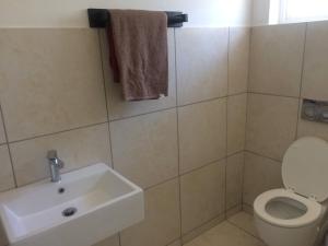 a bathroom with a toilet and a sink at The Rose on Fairway in Durban +10 photos