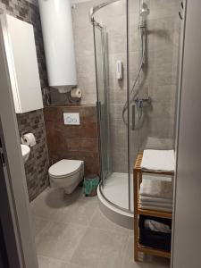 a bathroom with a shower and a toilet and a sink at Apartamenty Prima in Poddąbie