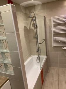 een badkamer met een douche en een bad bij Loft Porte de Gentilly in Gentilly