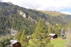 Paesaggio naturale nelle vicinanze dell'appartamento