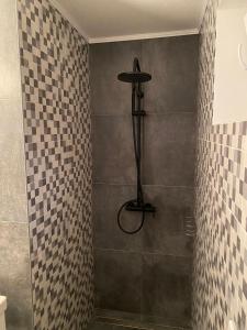 bagno con doccia e parete piastrellata di Studio Apartman Lora a Lipik