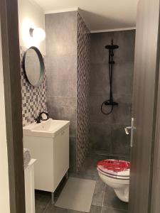 bagno con servizi igienici, lavandino e specchio di Studio Apartman Lora a Lipik