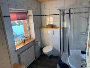 uma casa de banho com um WC, um lavatório e um chuveiro em Woidrausch´n em Philippsreut