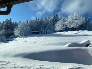 um campo coberto de neve com árvores ao fundo em Woidrausch´n em Philippsreut