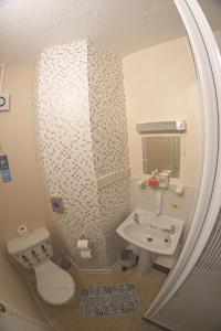 a bathroom with a sink and a toilet and a mirror at The Eastleigh in Skegness