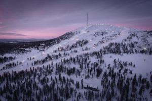 Gallery image of Ski-Inn PyhäLinna in Pyhätunturi