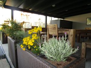 A television and/or entertainment centre at Weingut Rennhofer