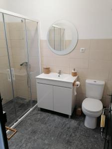 een badkamer met een douche, een toilet en een wastafel bij Casas de Marvão - Quinta da Bela Vista in Marvão