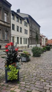 a group of benches with flowers on a street at Apartamenty pod Katedrą in Bielsko-Biała