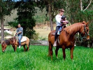 Altri animali domestici presso la locanda o nei dintorni