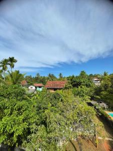 a house on top of a hill with trees at Om yoga Shala Beruwala - Yoga & Sound Healing in Beruwala