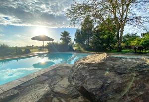 ein Pool mit einem Regenschirm und einem Stein in der Unterkunft The Shed in Nakuru