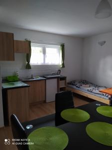 a room with a kitchen and a bed in it at Villa Borówka in Polanica-Zdrój